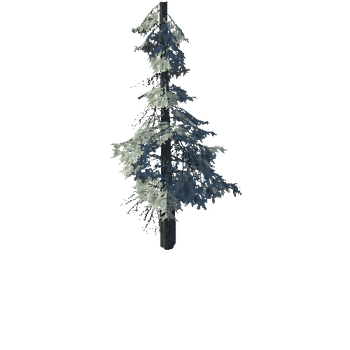 pine_10_high_1