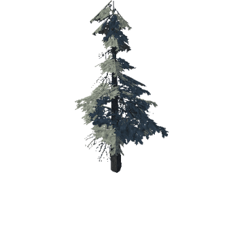 pine_10_low