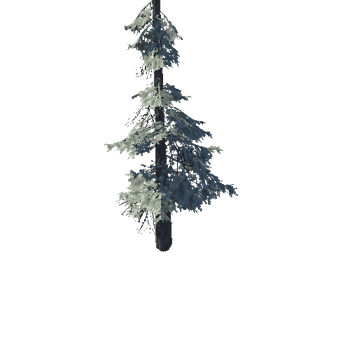 pine_11_high