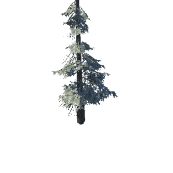 pine_11_high_1