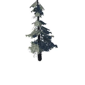 pine_11_medium