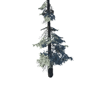 pine_12_high