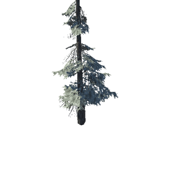 pine_12_high_1