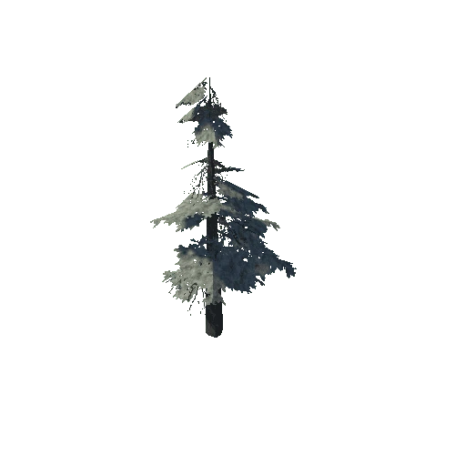 pine_12_low