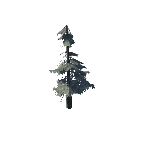 pine_12_medium