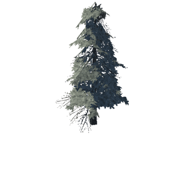 pine_14_low