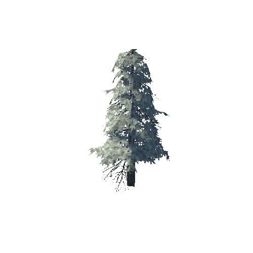 pine_16_high