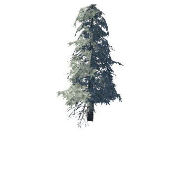 pine_16_high_1