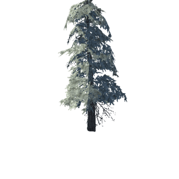 pine_17_high