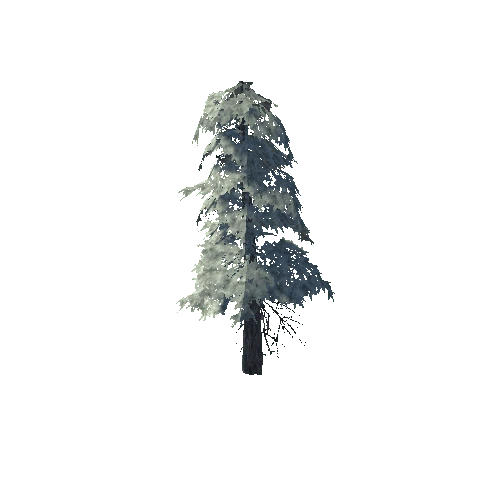 pine_17_high