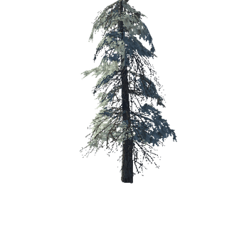 pine_18_high