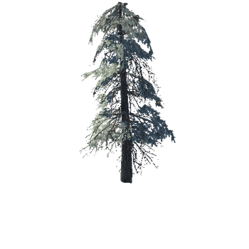 pine_18_high_1