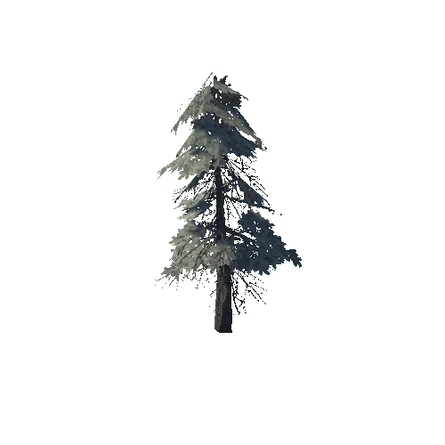 pine_18_low