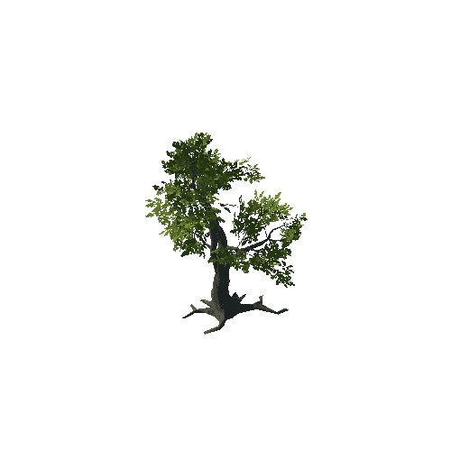 Tree_09