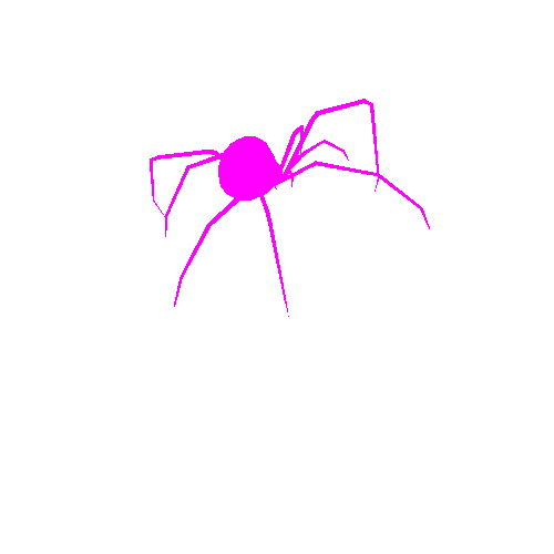 Anim_Spider@run Wild Life - Spiders