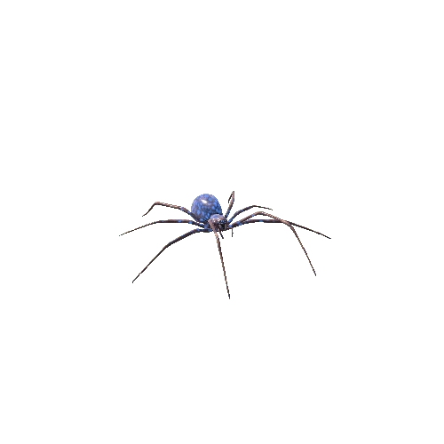 Spider_01_Blue