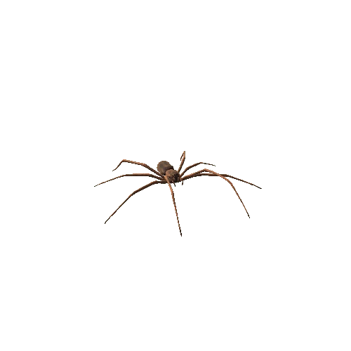 Spider_01_Brown