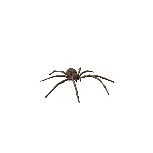 Spider_01_Fur