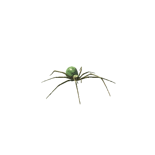 Spider_01_Green