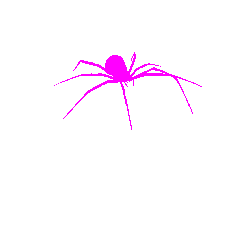 Spider_01_Tropical