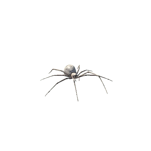 Spider_01_White