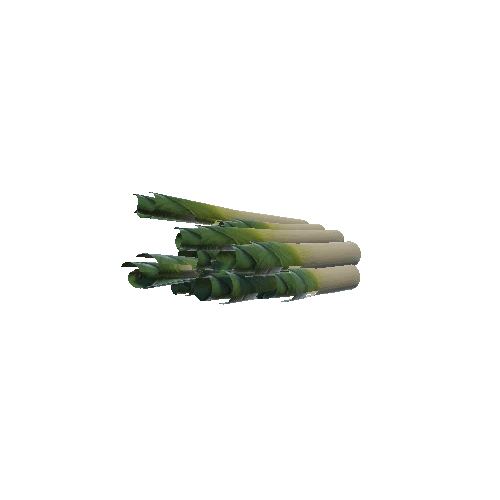 Leek2