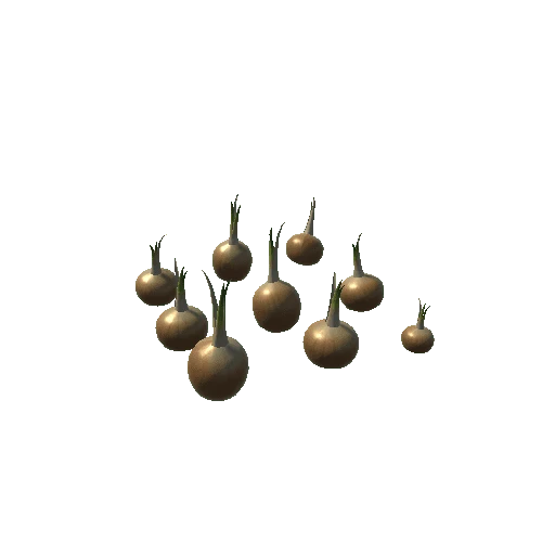 Onions_High