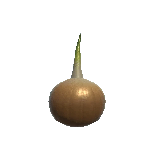 onion