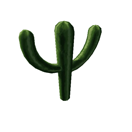 cactus_01