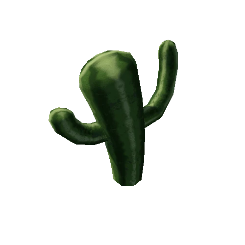 cactus_02