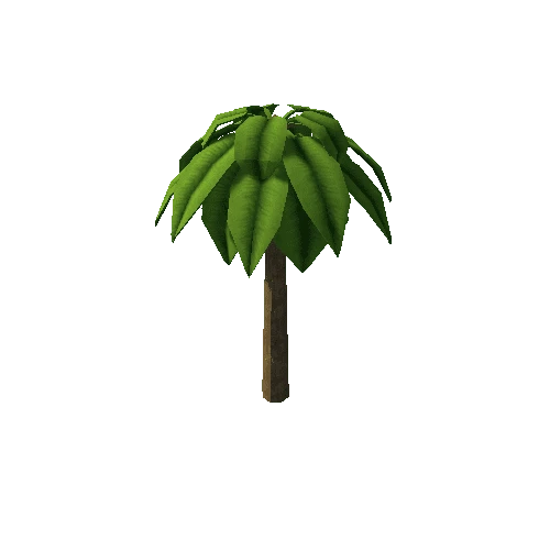 palmtree_01a