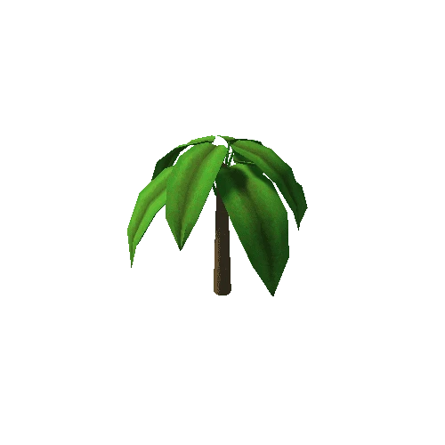 palmtree_03a