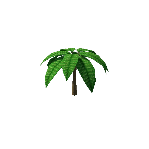 palmtree_03b