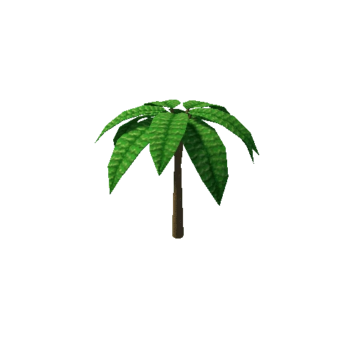 palmtree_03c