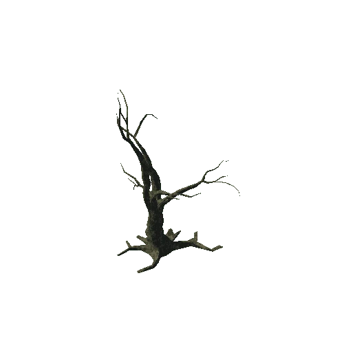 tree_02