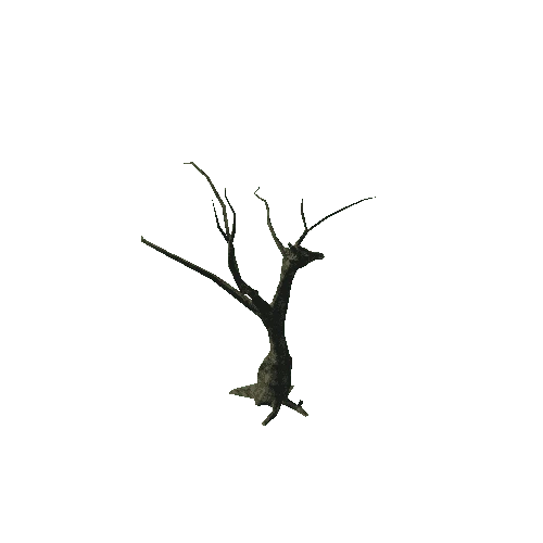 tree_03