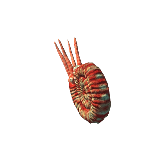 Ammonite_prefab