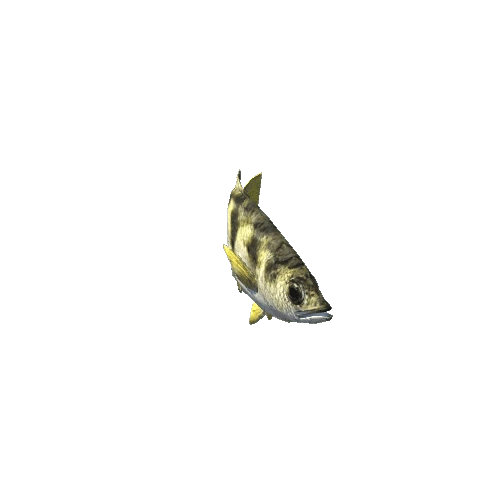 Archerfish_prefab