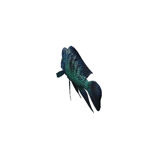 Blue_cichlid_prefab