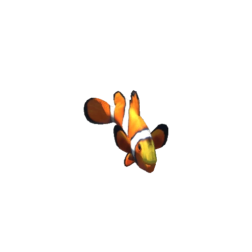 Clownfish_prefab