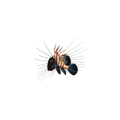 Lionfish_prefab