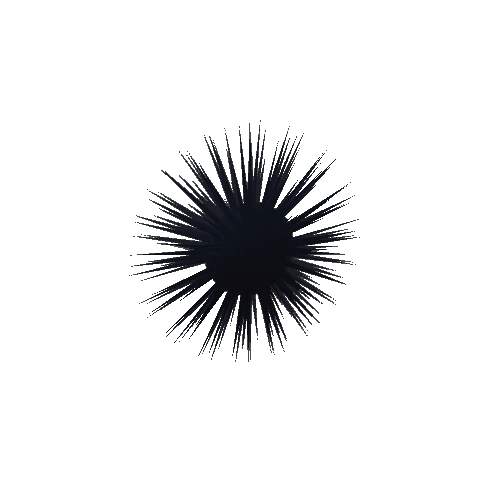 Sea_urchin_prefab