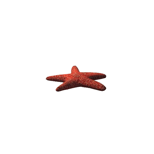 Starfish_v2_prefab