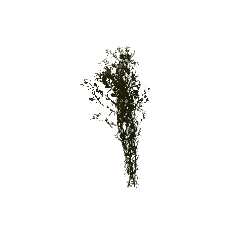 grass_001