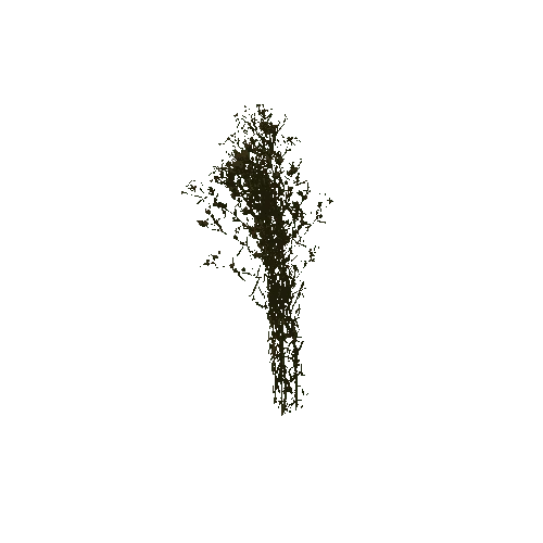 grass_001_LOD1