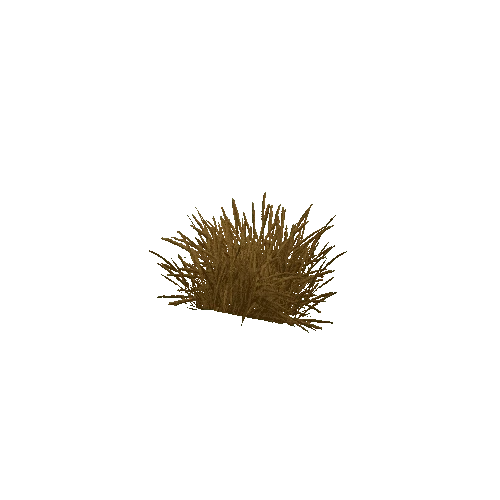 grass_dry_002_LOD1