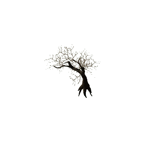 tree_003_c_LOD1