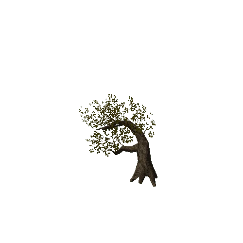 tree_004_b_LOD1