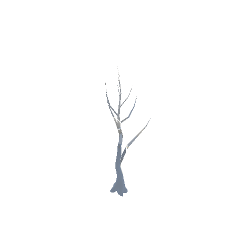 A_Tree_03