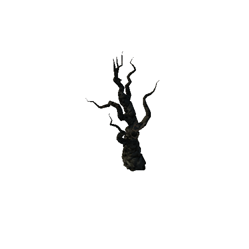 Dead_Oak_08